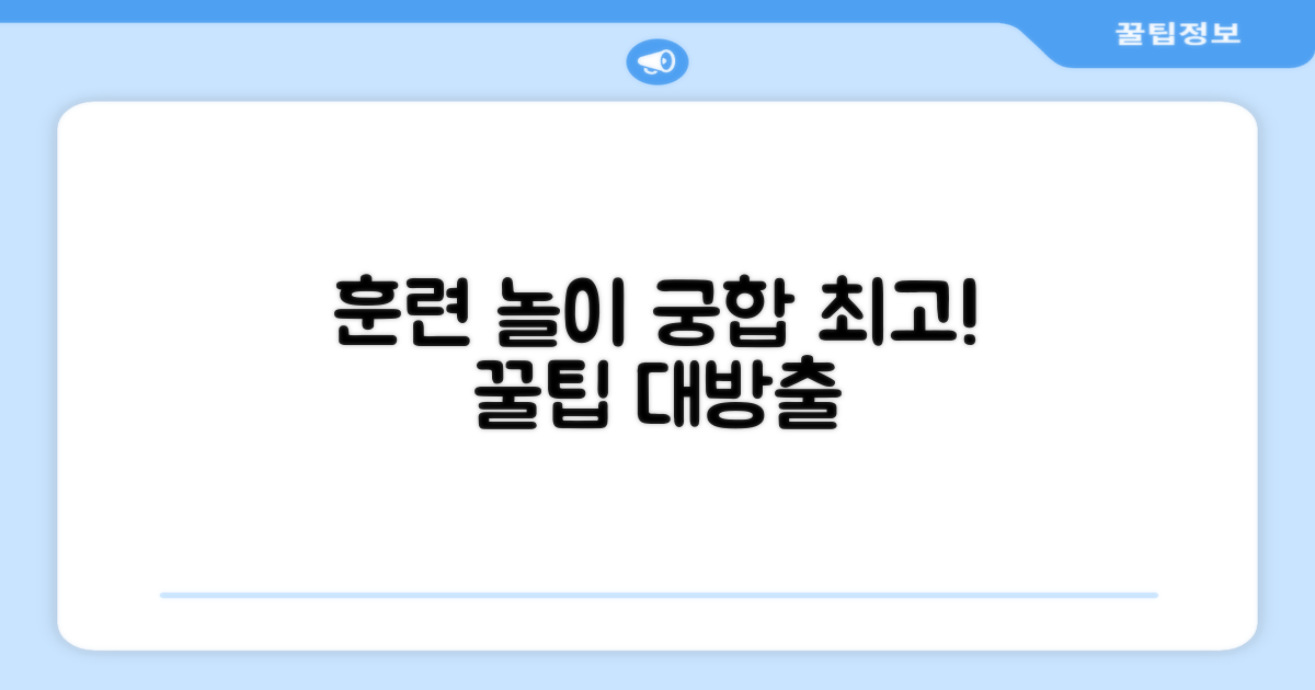 훈련, 놀이 활용법