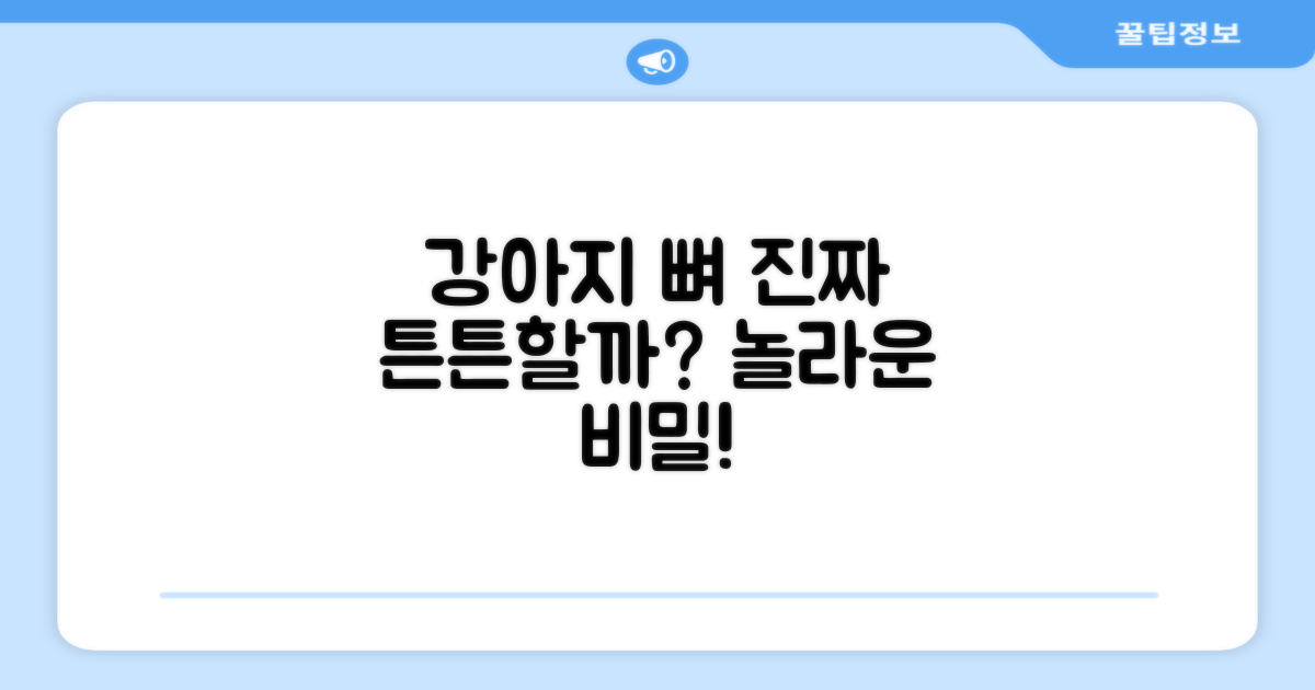 강아지 뼈, 정말 튼튼할까요?