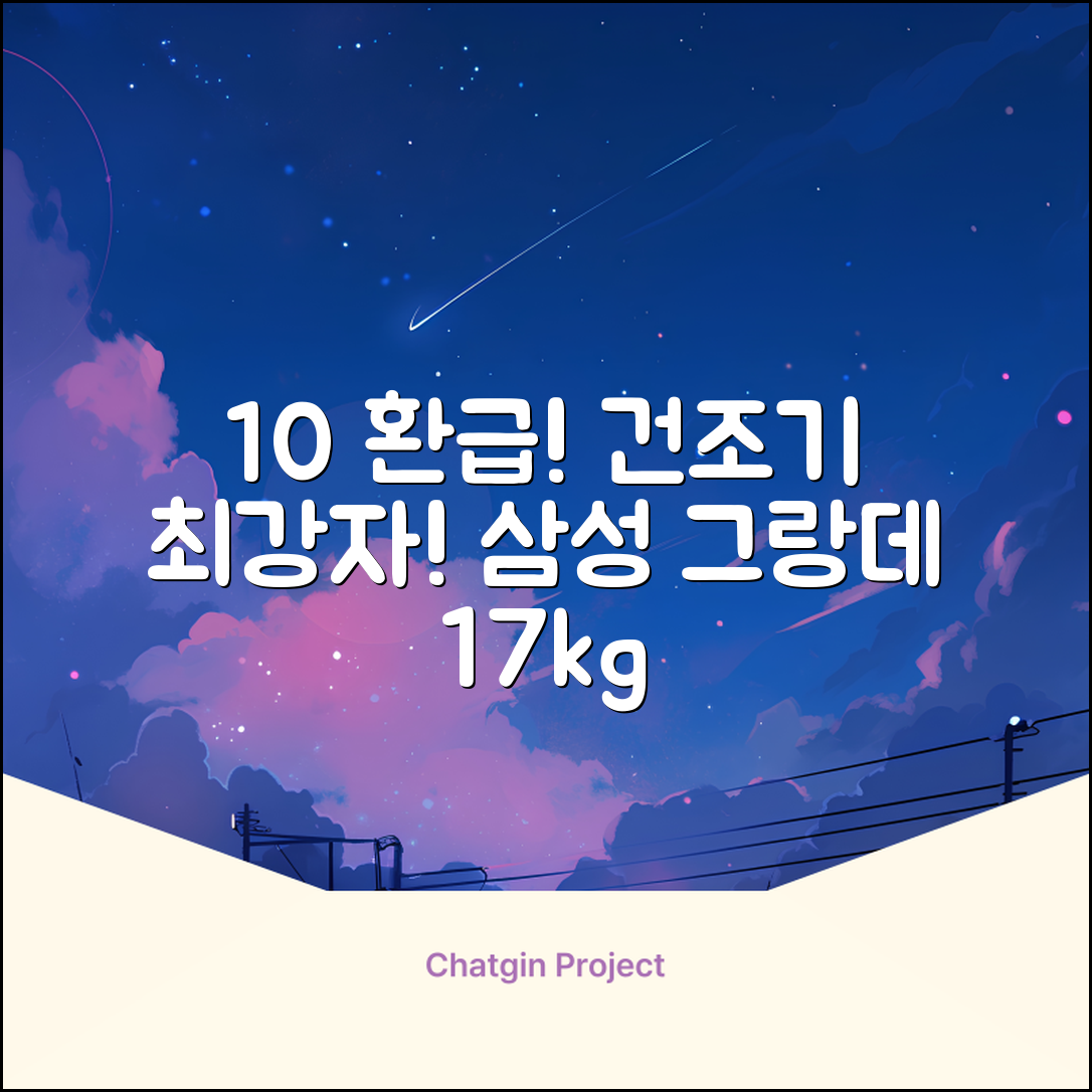 [10% 환급가전] 삼성전자 그랑데 건조기 AI 이녹스 DV17T8740BP 17kg 방문설치 추천 리뷰