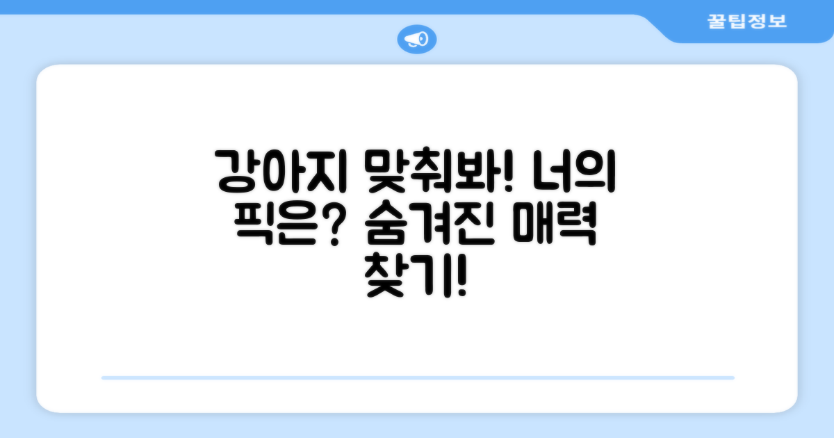 우리 강아지에게 맞춰봐!