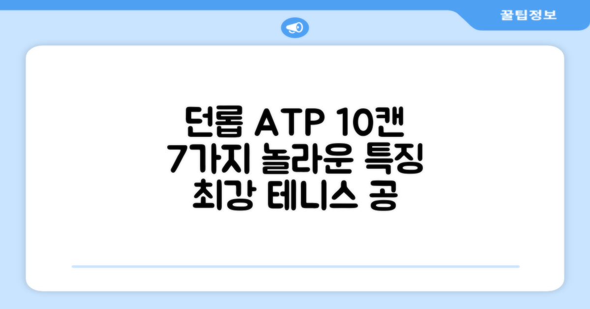 10캔 던롭 ATP 20볼, 7가지 특징