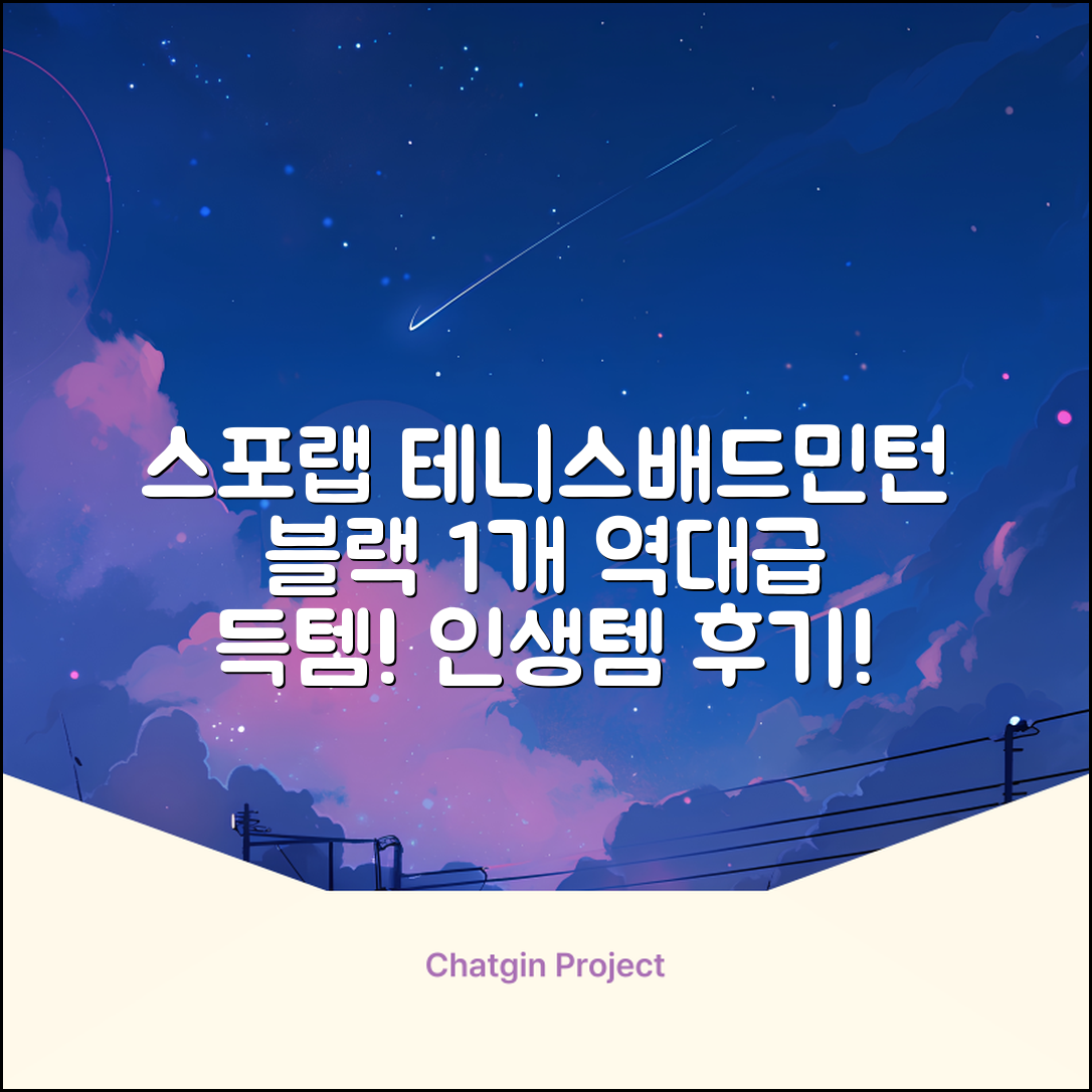 스포랩 테니스 가방 배드민턴 백팩, 블랙, 1개 추천 리뷰