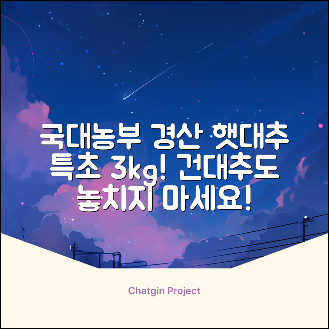 국대농부 경산 햇대추 건대추, 3kg(특초), 1개 추천 리뷰