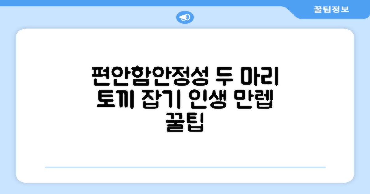 편안함과 안정성, 두 마리 토끼 잡기