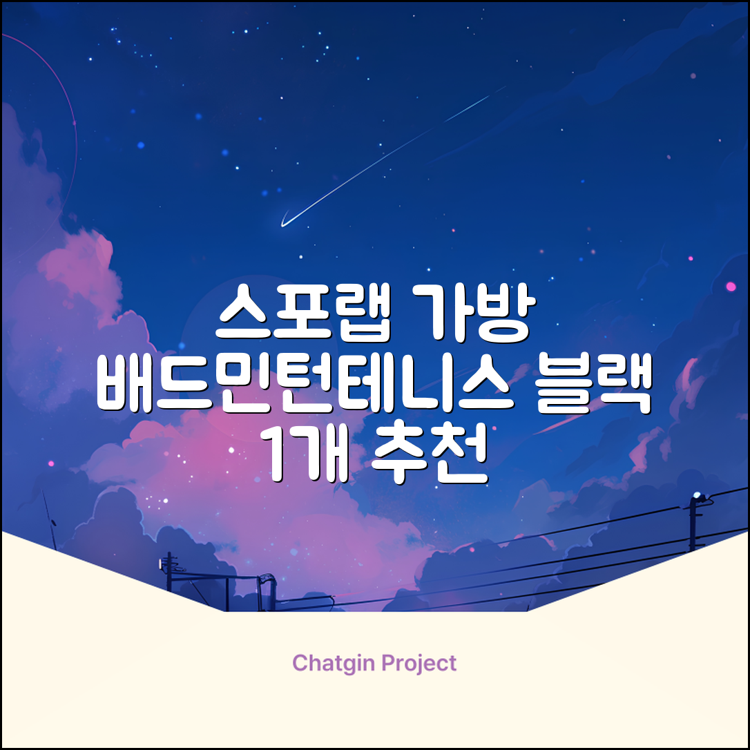 스포랩 테니스 가방 배드민턴 백팩, 블랙, 1개 추천 리뷰