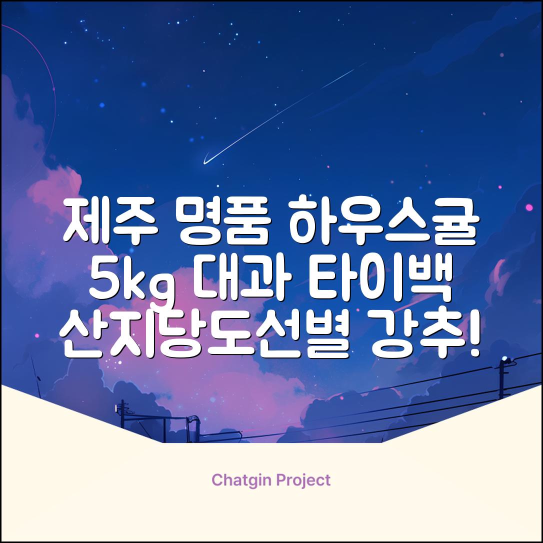 [산지당도선별] 제주 명품 하우스 귤 타이백 감귤, 1박스, 5kg 대과 추천 리뷰
