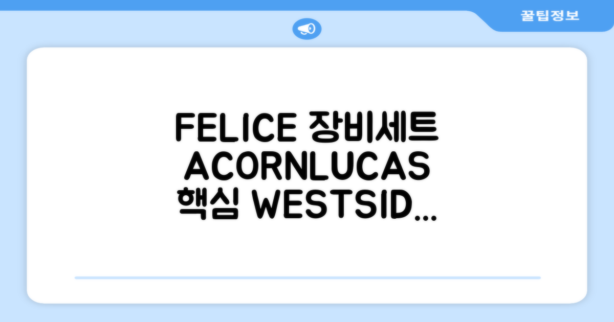 FELICE 장비세트6 ACORN데크 바인딩 LUCAS부츠, WESTSIDE 레드154+바인딩M, 1개 추천 리뷰