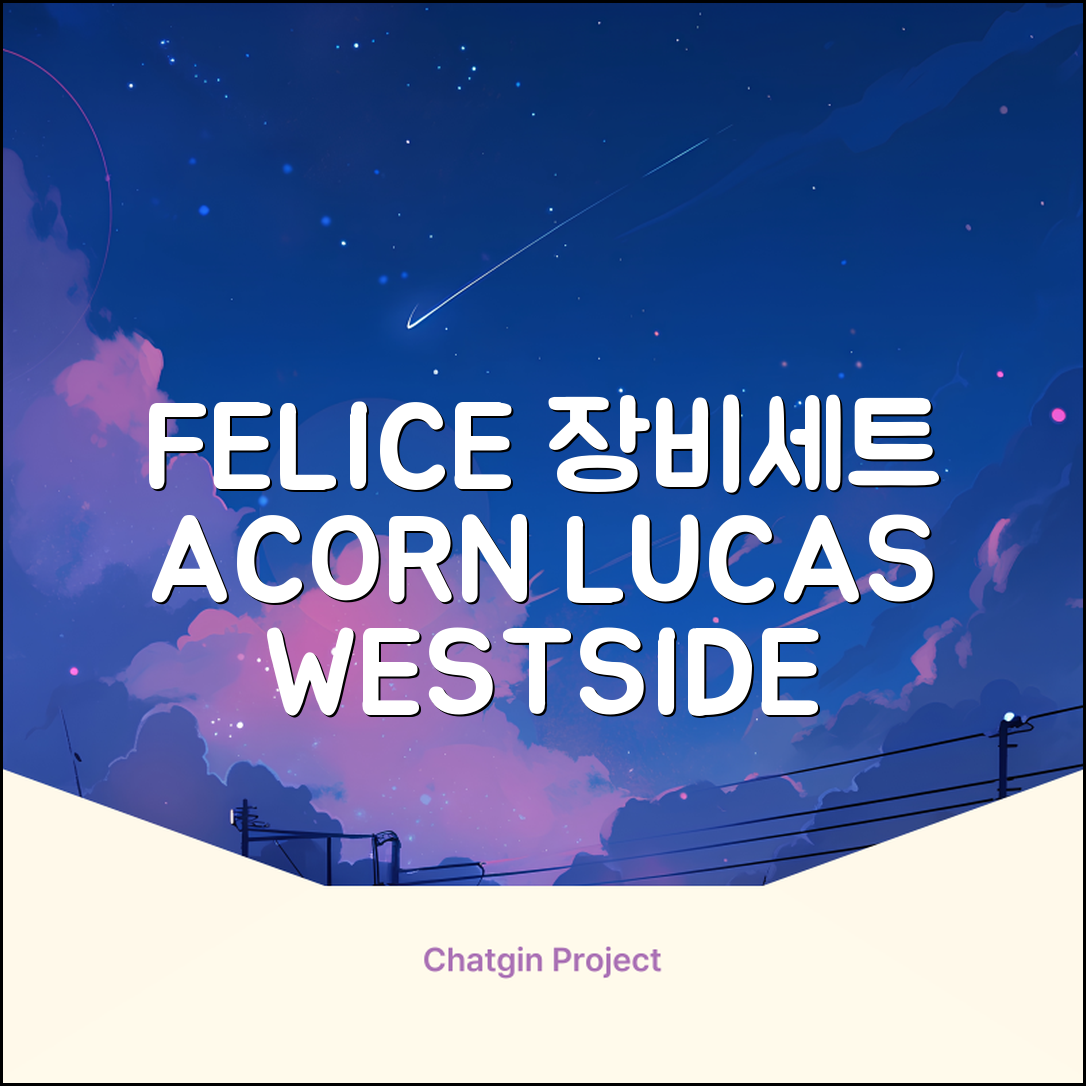 FELICE 장비세트6 ACORN데크 바인딩 LUCAS부츠, WESTSIDE 레드154+바인딩M, 1개 추천 리뷰