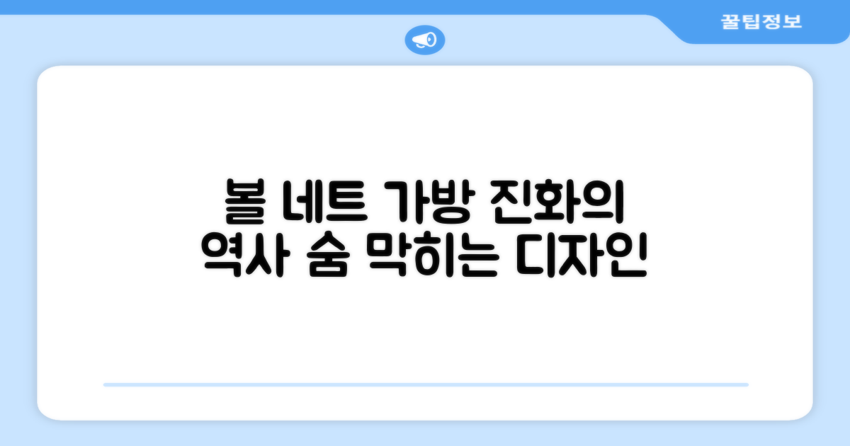 볼 네트 가방의 진화